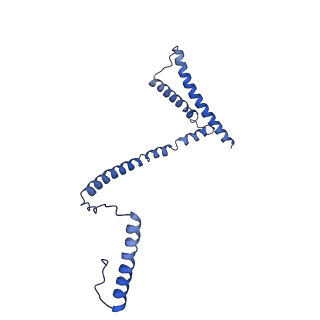 21910_6wuc_H_v1-2
The yeast Ctf3 complex with Cnn1-Wip1