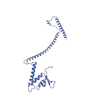 21910_6wuc_K_v1-2
The yeast Ctf3 complex with Cnn1-Wip1