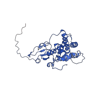 21913_6wuh_A_v1-1
Mitochondrial SAM complex in lipid nanodiscs