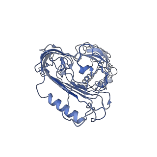 21913_6wuh_B_v1-2
Mitochondrial SAM complex in lipid nanodiscs