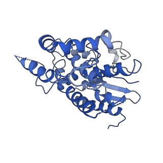 21913_6wuh_C_v1-1
Mitochondrial SAM complex in lipid nanodiscs