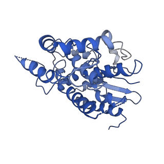 21913_6wuh_C_v1-2
Mitochondrial SAM complex in lipid nanodiscs