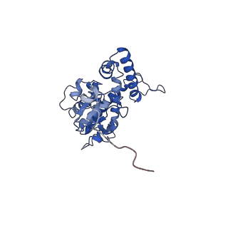 21914_6wuj_A_v1-1
Mitochondrial SAM complex - monomer in detergent