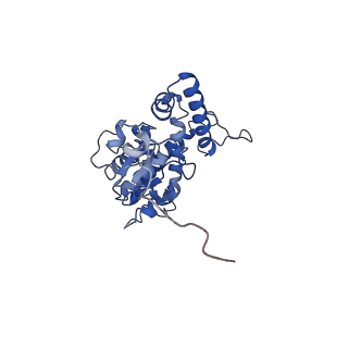 21914_6wuj_A_v1-2
Mitochondrial SAM complex - monomer in detergent