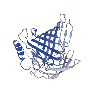 21914_6wuj_B_v1-2
Mitochondrial SAM complex - monomer in detergent