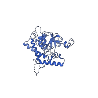 21915_6wul_A_v1-1
Mitochondrial SAM complex - dimer 1 in detergent