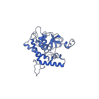 21915_6wul_A_v1-2
Mitochondrial SAM complex - dimer 1 in detergent