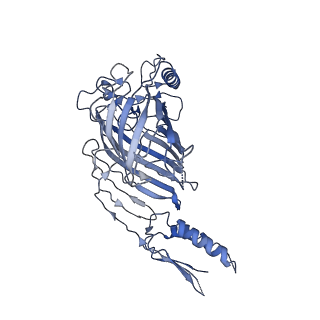 21915_6wul_B_v1-1
Mitochondrial SAM complex - dimer 1 in detergent