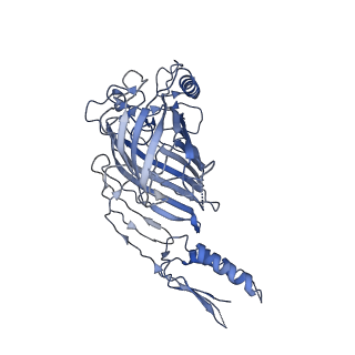 21915_6wul_B_v1-2
Mitochondrial SAM complex - dimer 1 in detergent