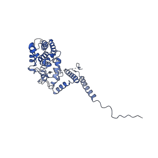 21915_6wul_C_v1-1
Mitochondrial SAM complex - dimer 1 in detergent
