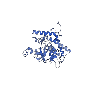 21915_6wul_D_v1-1
Mitochondrial SAM complex - dimer 1 in detergent