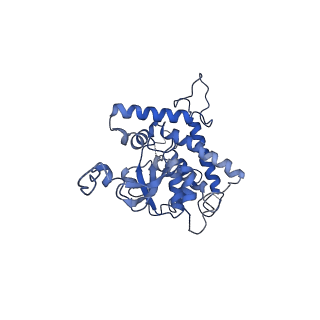 21915_6wul_D_v1-2
Mitochondrial SAM complex - dimer 1 in detergent