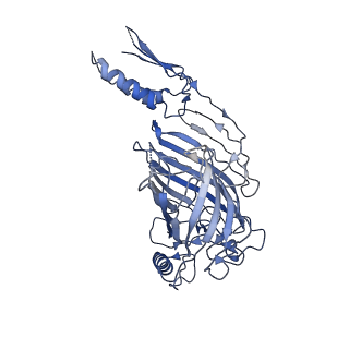 21915_6wul_E_v1-1
Mitochondrial SAM complex - dimer 1 in detergent