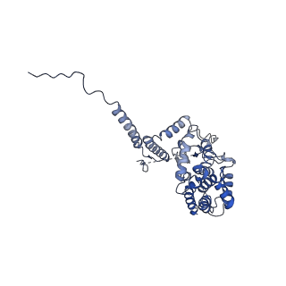 21915_6wul_F_v1-1
Mitochondrial SAM complex - dimer 1 in detergent