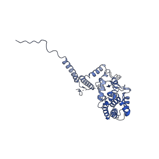 21915_6wul_F_v1-2
Mitochondrial SAM complex - dimer 1 in detergent