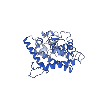 21916_6wum_A_v1-1
Mitochondrial SAM complex - dimer 2 in detergent