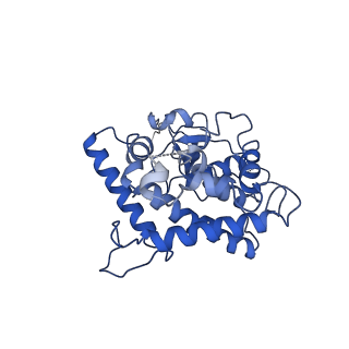 21916_6wum_A_v1-2
Mitochondrial SAM complex - dimer 2 in detergent