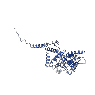 21916_6wum_C_v1-1
Mitochondrial SAM complex - dimer 2 in detergent