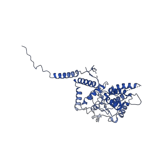 21916_6wum_C_v1-2
Mitochondrial SAM complex - dimer 2 in detergent