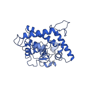 21916_6wum_E_v1-1
Mitochondrial SAM complex - dimer 2 in detergent