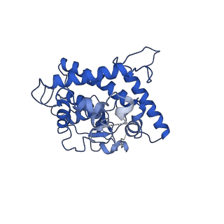 21916_6wum_E_v1-2
Mitochondrial SAM complex - dimer 2 in detergent