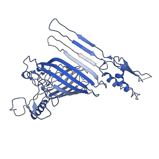 21916_6wum_a_v1-1
Mitochondrial SAM complex - dimer 2 in detergent