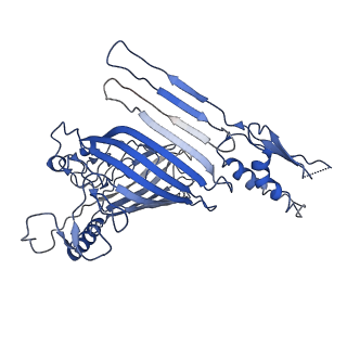 21916_6wum_a_v1-2
Mitochondrial SAM complex - dimer 2 in detergent