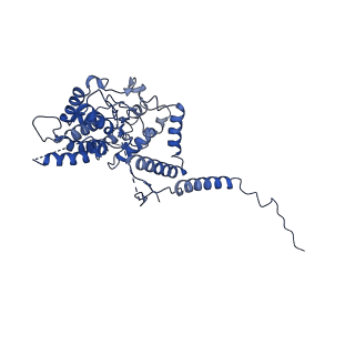 21916_6wum_b_v1-1
Mitochondrial SAM complex - dimer 2 in detergent
