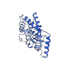 21917_6wun_A_v1-1
Mitochondrial SAM complex - dimer 3 in detergent