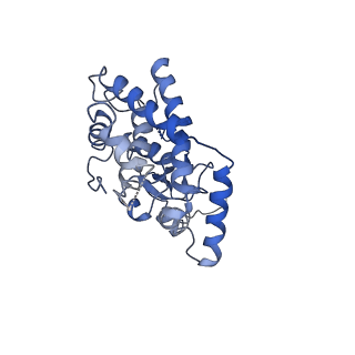 21917_6wun_A_v1-2
Mitochondrial SAM complex - dimer 3 in detergent