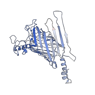 21917_6wun_B_v1-1
Mitochondrial SAM complex - dimer 3 in detergent