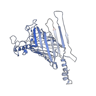 21917_6wun_B_v1-2
Mitochondrial SAM complex - dimer 3 in detergent