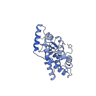 21917_6wun_C_v1-1
Mitochondrial SAM complex - dimer 3 in detergent