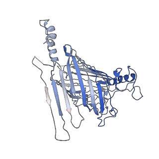 21917_6wun_D_v1-1
Mitochondrial SAM complex - dimer 3 in detergent