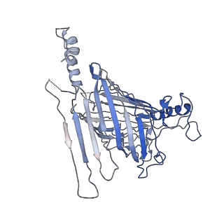 21917_6wun_D_v1-2
Mitochondrial SAM complex - dimer 3 in detergent