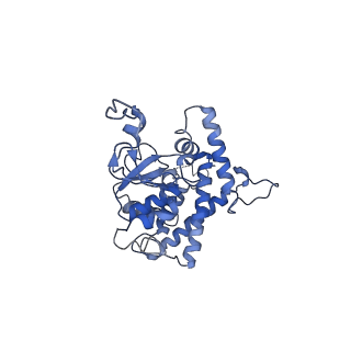 21918_6wut_A_v1-1
Mitochondrial SAM complex - high resolution monomer in detergent