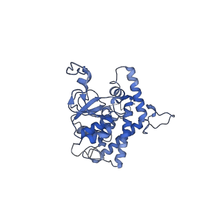 21918_6wut_A_v1-2
Mitochondrial SAM complex - high resolution monomer in detergent