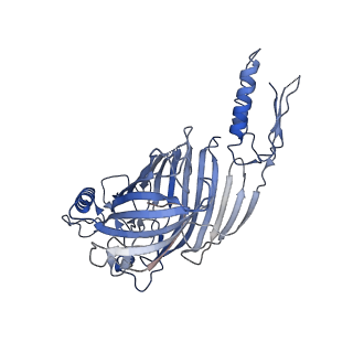 21918_6wut_B_v1-1
Mitochondrial SAM complex - high resolution monomer in detergent