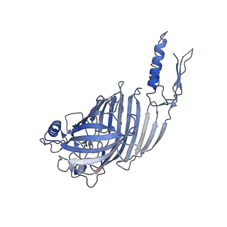 21918_6wut_B_v1-2
Mitochondrial SAM complex - high resolution monomer in detergent