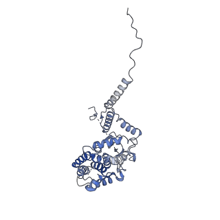 21918_6wut_C_v1-1
Mitochondrial SAM complex - high resolution monomer in detergent