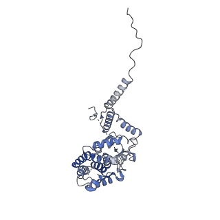 21918_6wut_C_v1-2
Mitochondrial SAM complex - high resolution monomer in detergent