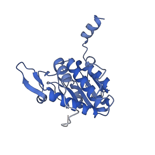 32807_7wu0_A_v1-2
Cryo-EM structure of a human pre-40S ribosomal subunit - State RRP12-B3