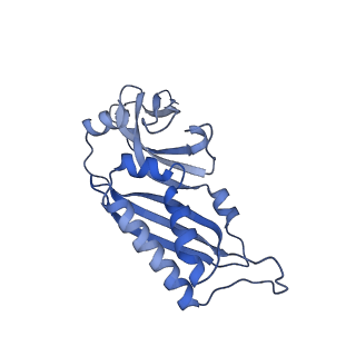 32807_7wu0_B_v1-2
Cryo-EM structure of a human pre-40S ribosomal subunit - State RRP12-B3