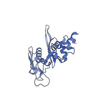 32807_7wu0_C_v1-2
Cryo-EM structure of a human pre-40S ribosomal subunit - State RRP12-B3