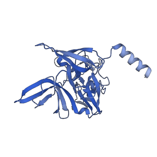 32807_7wu0_E_v1-2
Cryo-EM structure of a human pre-40S ribosomal subunit - State RRP12-B3