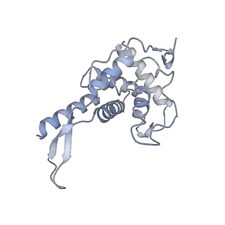 32807_7wu0_F_v1-2
Cryo-EM structure of a human pre-40S ribosomal subunit - State RRP12-B3