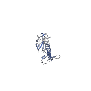 32807_7wu0_G_v1-2
Cryo-EM structure of a human pre-40S ribosomal subunit - State RRP12-B3