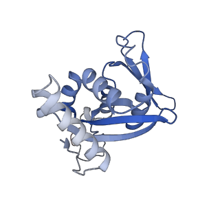 32807_7wu0_H_v1-2
Cryo-EM structure of a human pre-40S ribosomal subunit - State RRP12-B3