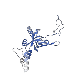 32807_7wu0_I_v1-2
Cryo-EM structure of a human pre-40S ribosomal subunit - State RRP12-B3