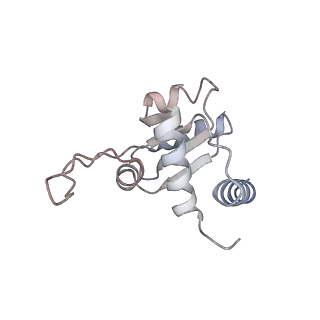32807_7wu0_M_v1-2
Cryo-EM structure of a human pre-40S ribosomal subunit - State RRP12-B3